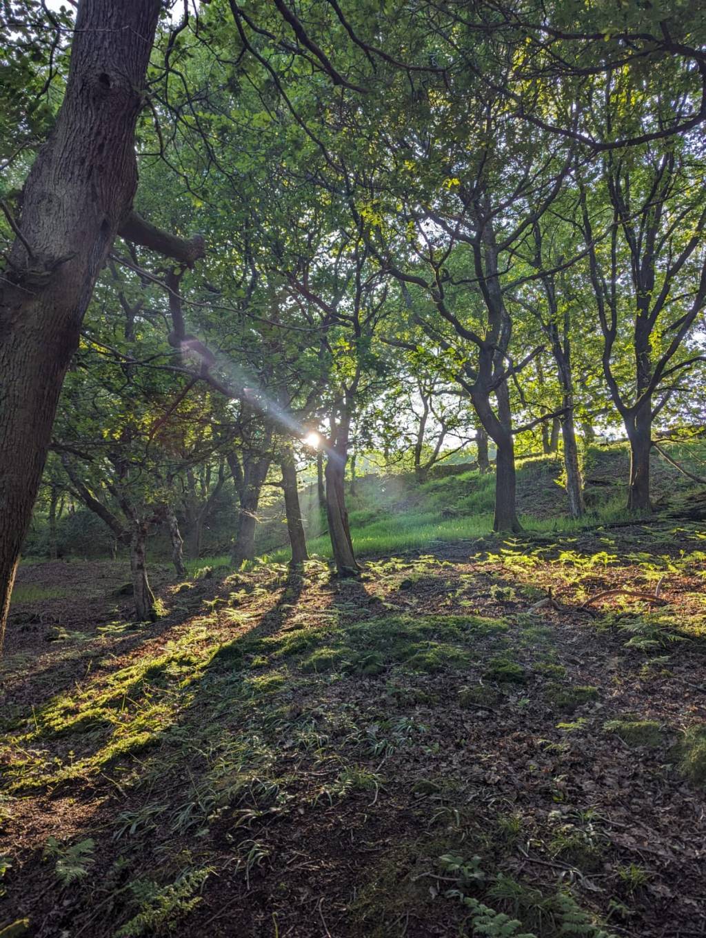 A week of&nbsp;solitude