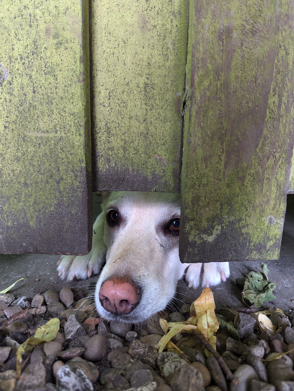 Does it ever get any easier to say&nbsp;goodbye?